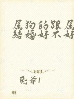 属狗的跟属猴的结婚好不好