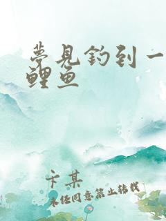 梦见钓到一条大鲤鱼