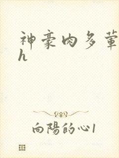 神豪肉多荤文高h