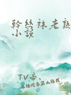 干丝袜老熟女插小说