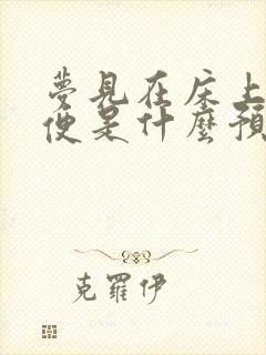 梦见在床上拉大便是什么预兆