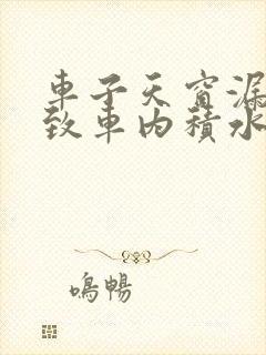 车子天窗漏水导致车内积水怎么处理