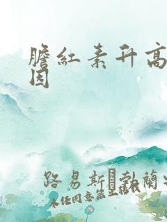 胆红素升高的原因