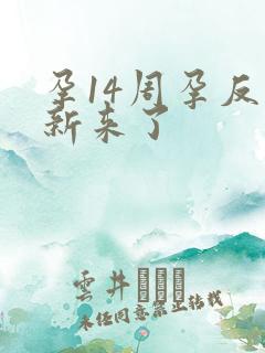 孕14周孕反重新来了