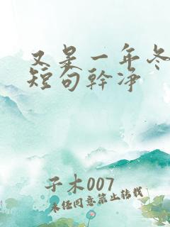 又是一年冬文案短句干净