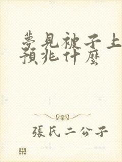 梦见被子上沾屎预兆什么