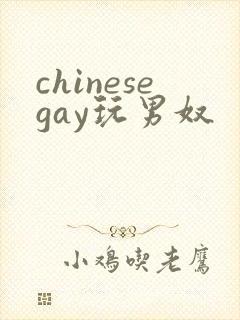 chinesegay玩男奴