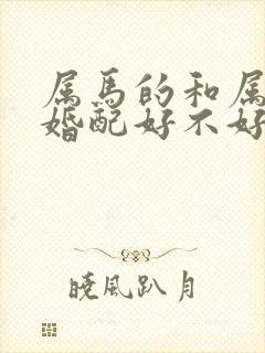 属马的和属羊的婚配好不好