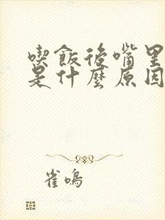 吃饭后嘴里发苦是什么原因