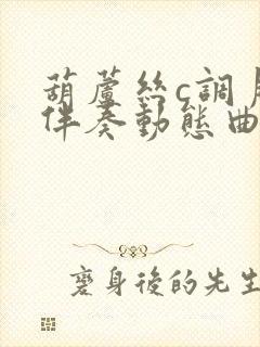 葫芦丝c调月夜伴奏动态曲谱