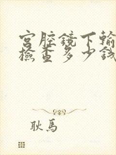 宫腔镜下输卵管检查多少钱