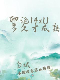 卵泡14x11多久才成熟