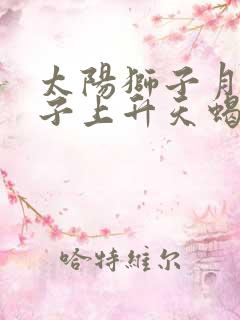 太阳狮子月亮双子上升天蝎