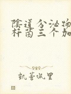 阴道分泌物检查杆菌三个加