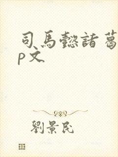 司马懿诸葛亮cp文