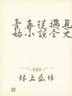 青春从遇见他开始小说全文免费阅读