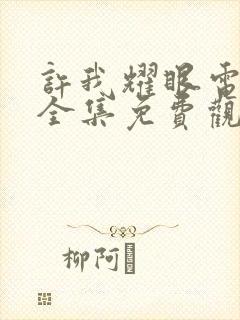 许我耀眼电视剧全集免费观看14集