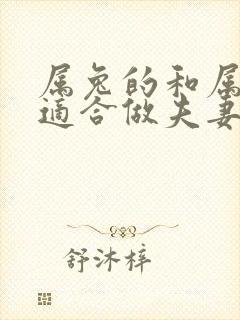 属兔的和属蛇的适合做夫妻吗