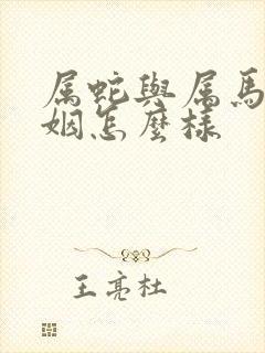 属蛇与属马的婚姻怎么样