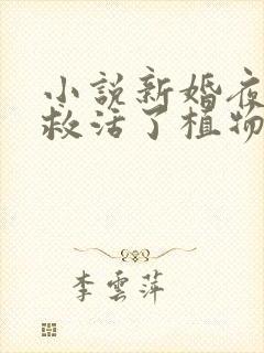 小说新婚夜,我救活了植物人老公