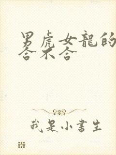 男虎女龙的属相合不合