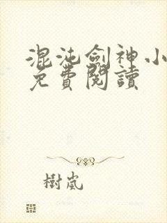 混沌剑神小说的免费阅读