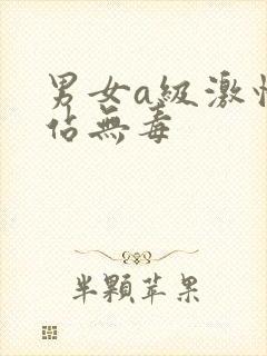 男女a级激情网站无毒