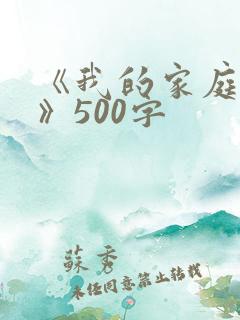 《我的家庭故事》500字