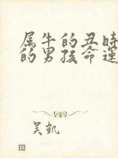 属牛的丑时出生的男孩命运