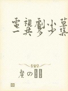 电视剧小草青青一共多少集