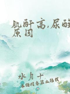 肌酐高,尿酸高原因