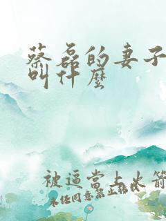 蔡磊的妻子真名叫什么