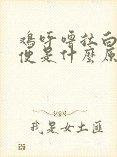 鸡呼噜拉白色粪便是什么原因造成的