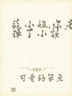 苏小姐,你老公掉了小说