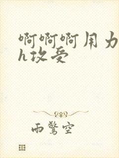 啊啊啊用力插高h攻受