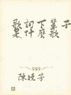 歌词下辈子再爱是什么歌