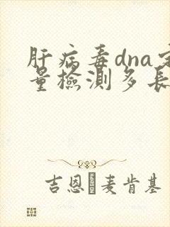 肝病毒dna定量检测多长时间出结果