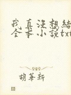 我真没想结婚啊全本小说txt下载