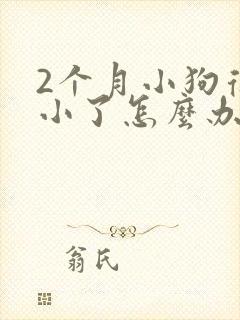 2个月小狗得细小了怎么办