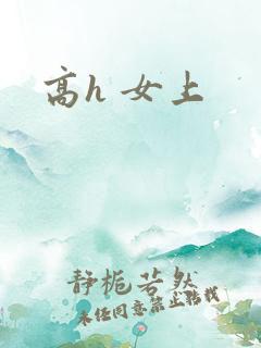高h 女上