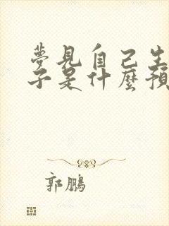 梦见自己生男孩子是什么预兆解梦