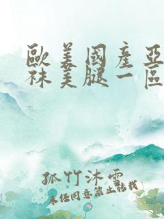 欧美国产亚洲丝袜美腿一区