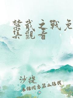 禁武之战免费全集观看
