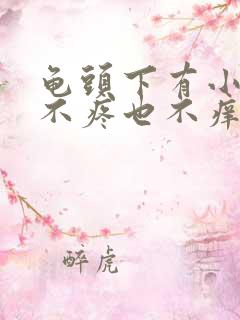 龟头下有小疙瘩不疼也不痒