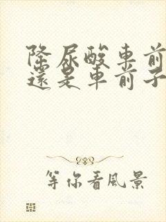 降尿酸车前草好还是车前子好