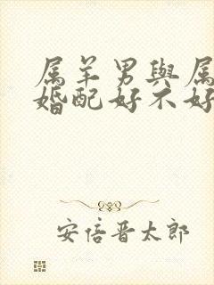 属羊男与属马女婚配好不好