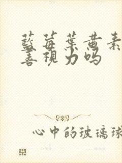 蓝莓叶黄素能改善视力吗