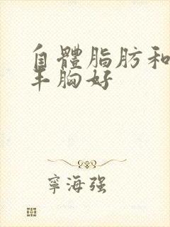 自体脂肪和假体丰胸好