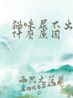 猫咪尿不出来是什么原因