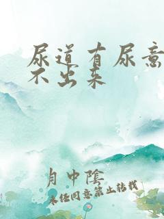 尿道有尿意但尿不出来